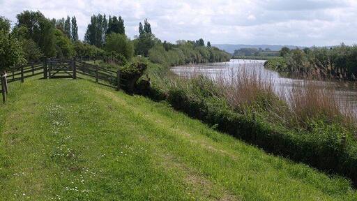 River Severn at Minsterworth. Looking upstream from the Gloucestershire Way, here following footpath EMW7/1 and having to negotiate a succession of gates through fences along the levee. Technically the path diverts down to the left around here, aiming for 118827, but the last gate onto the lane by the church was impassable when I tried to follow the correct route.