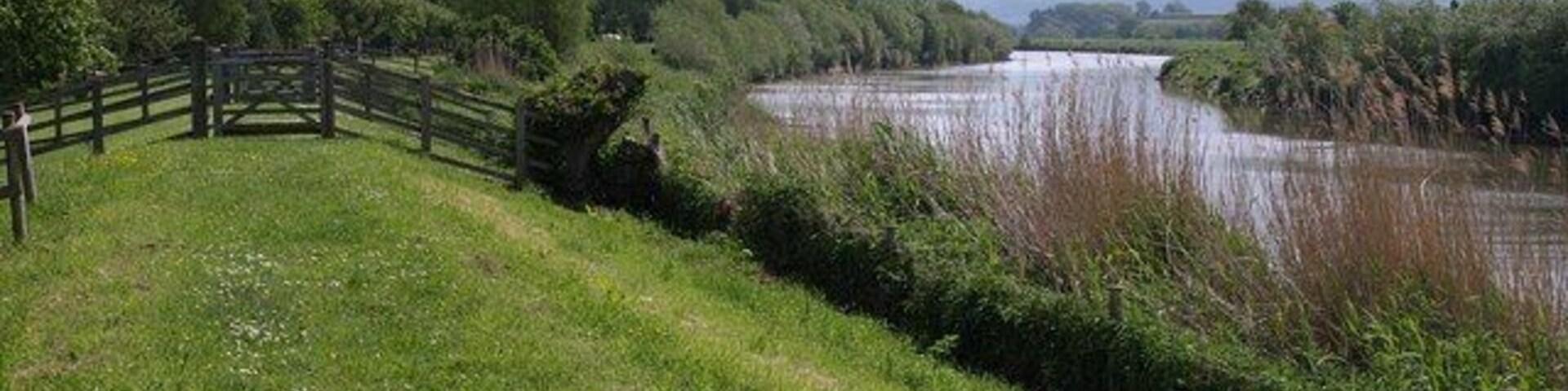 River Severn at Minsterworth. Looking upstream from the Gloucestershire Way, here following footpath EMW7/1 and having to negotiate a succession of gates through fences along the levee. Technically the path diverts down to the left around here, aiming for 118827, but the last gate onto the lane by the church was impassable when I tried to follow the correct route.