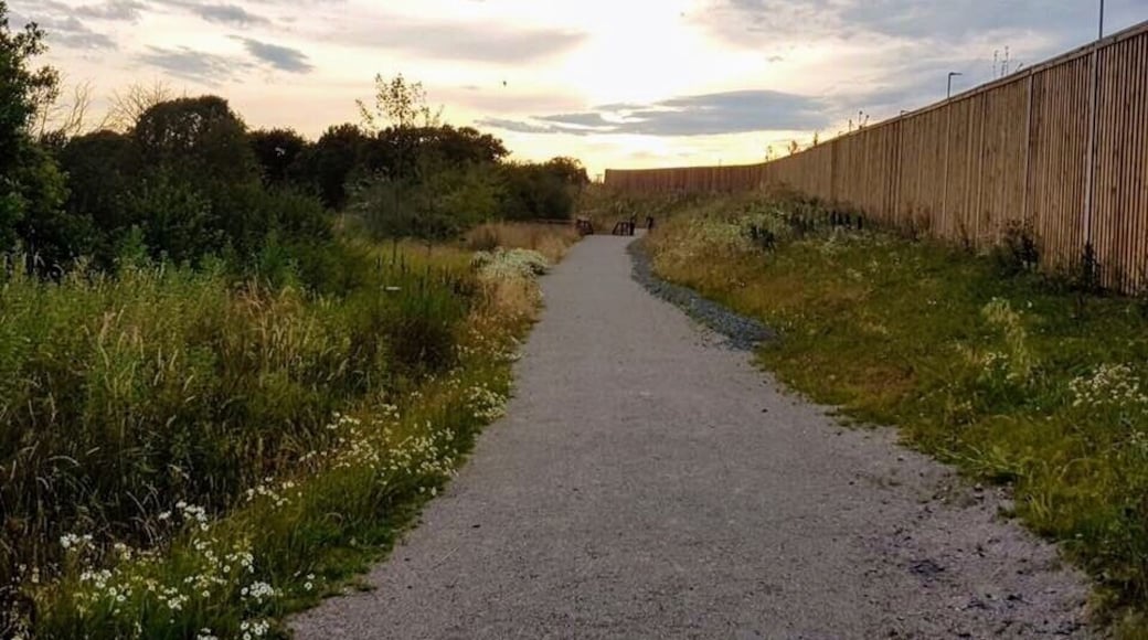 You just wouldn't believe that this is behind an Amazon distribution centre! You can walk round this entire separated reserve. Beauty is in the unexpected!