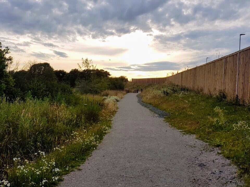 A gravel path flanked by dense vegetation and a wooden fence under a cloudy sky.