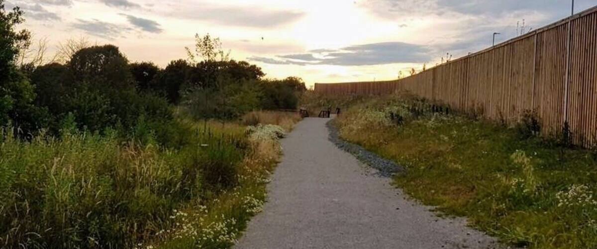 A gravel path flanked by dense vegetation and a wooden fence under a cloudy sky.