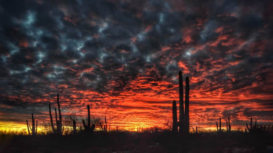 #Trovember —Winter nightfalls in the Sonoran Desert; you can’t make this stuff up! Tucson sunsets are the best... #MyBackyard