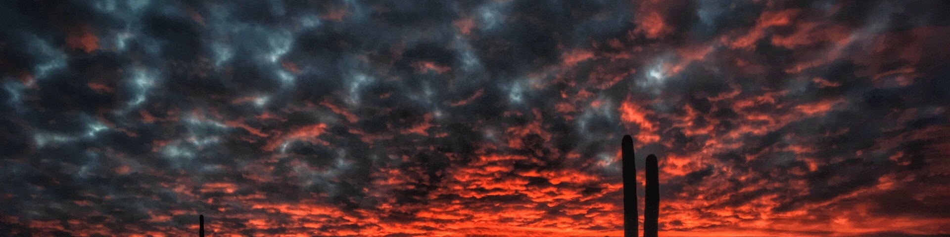 #Trovember —Winter nightfalls in the Sonoran Desert; you can’t make this stuff up! Tucson sunsets are the best... #MyBackyard