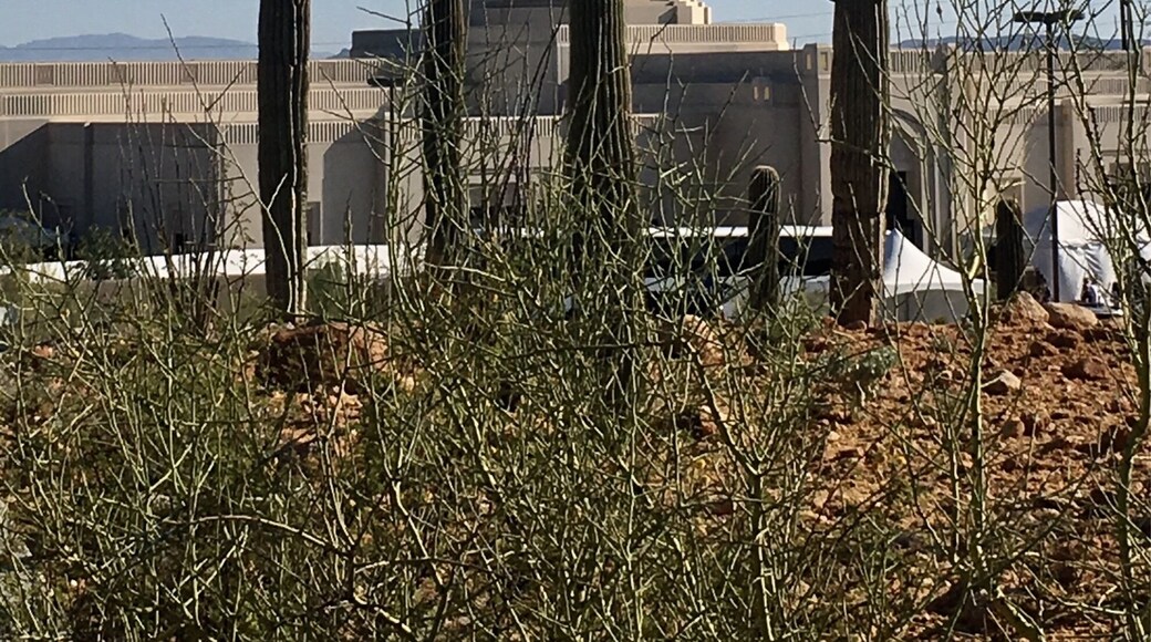 The new LDS Temple in Tucson. It is located in a beautiful location on the foothills of the Catalina Mountains