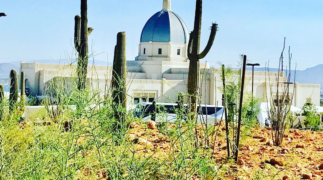 This is a beautiful structure but also a testament of our right to worship how and where in this great country.