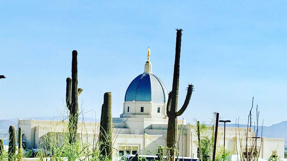 A large building with a blue dome, surrounded by cacti and desert vegetation.