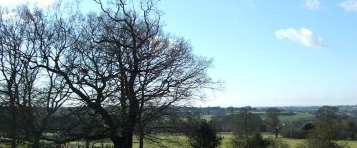 A leafless tree in a field with a distant view of a hilly landscape.