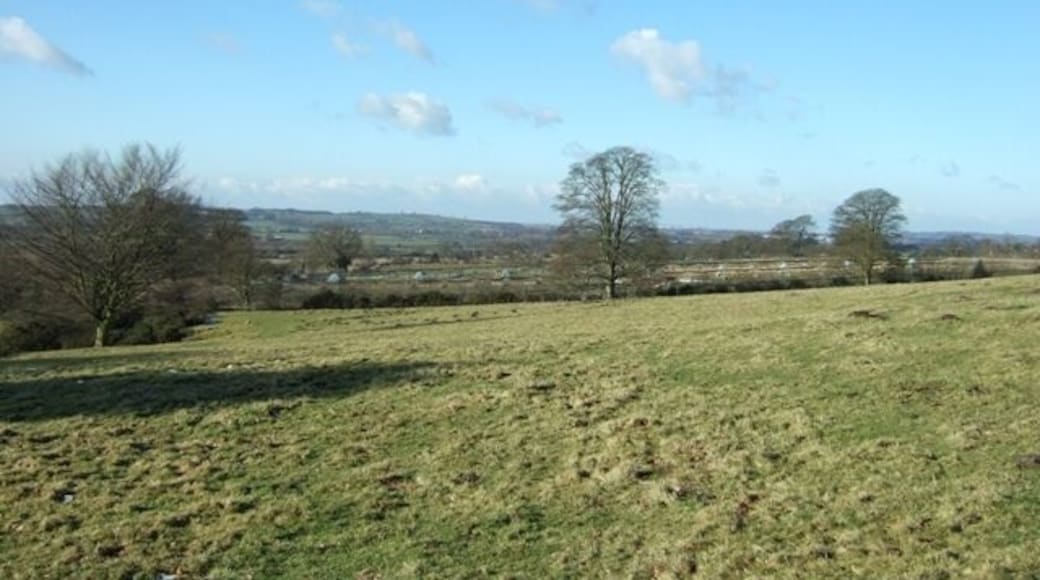 Sandon Park Looking from the edge of the park across the gamekeeper's domain and the Trent valley.