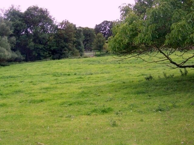 A grassy field with trees and a fence in the background.
