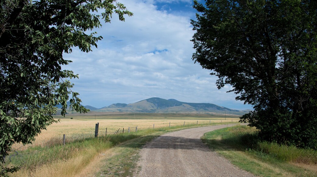 Gravel road looking at the sweet grass hills