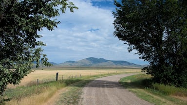 Gravel road looking at the sweet grass hills