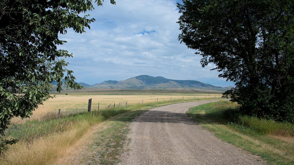 A gravel road curving through a rural landscape with fields and distant mountains.