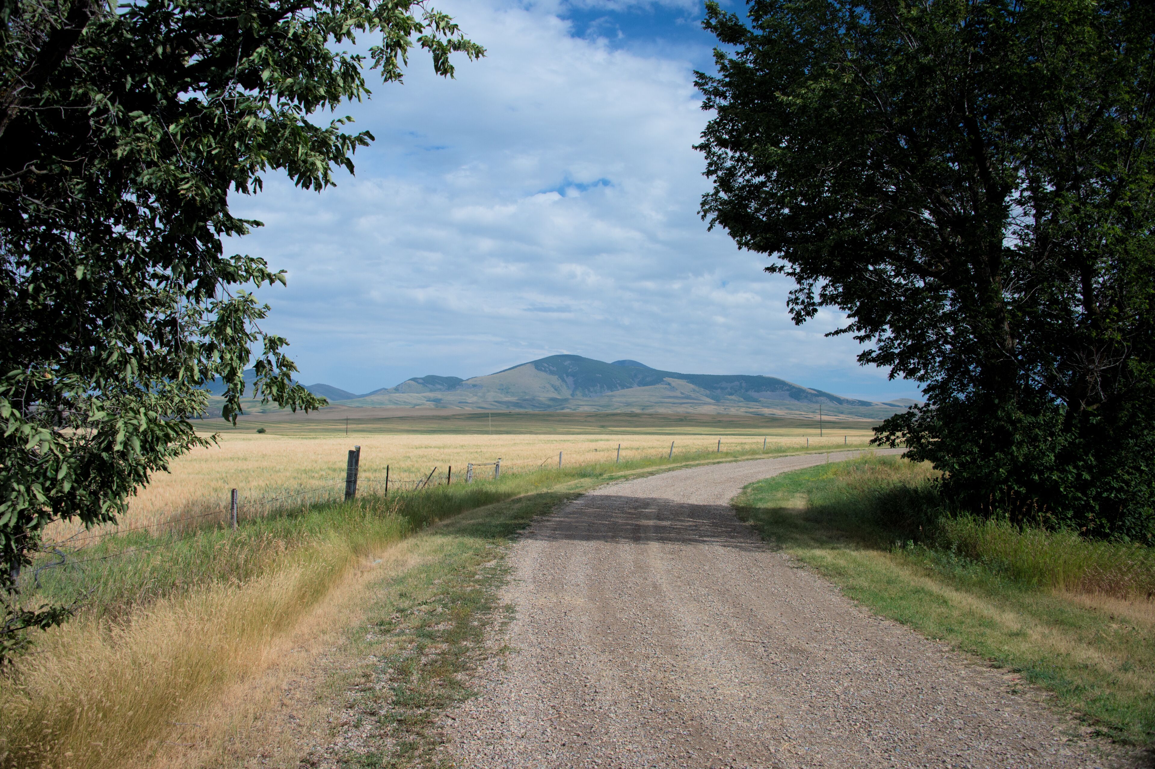 A gravel road curving through a rural landscape with fields and distant mountains.