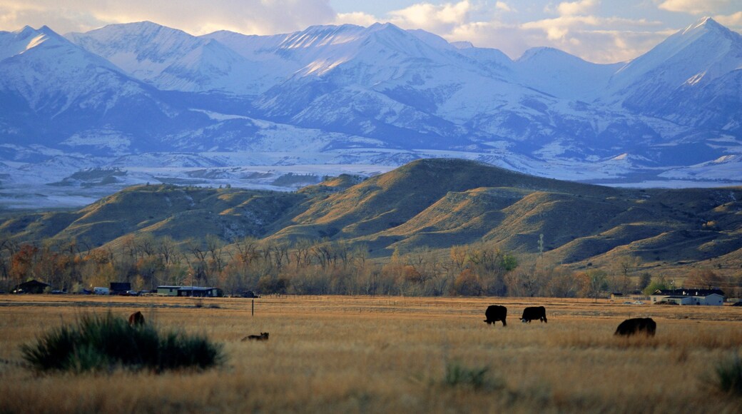 Looking west towards the Rocky Mountains from Big Timber, Sweet Grass County, Montana, USA