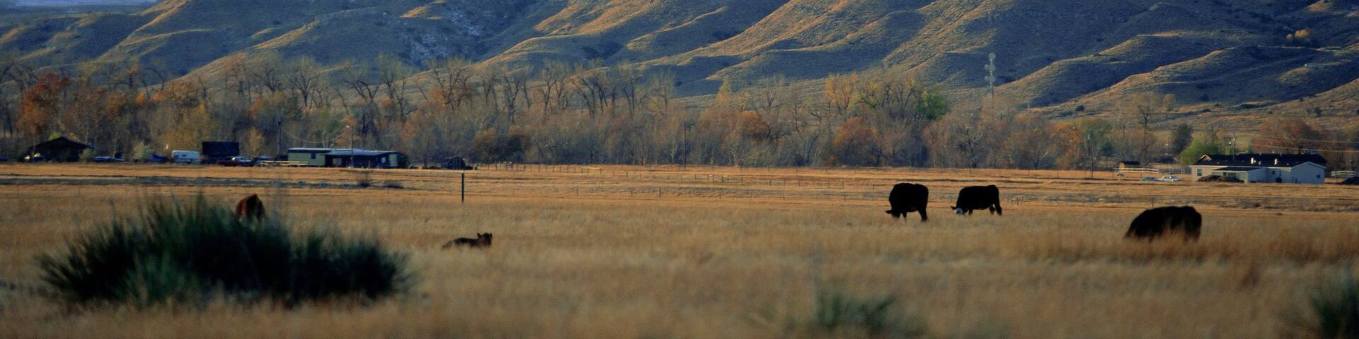 Looking west towards the Rocky Mountains from Big Timber, Sweet Grass County, Montana, USA