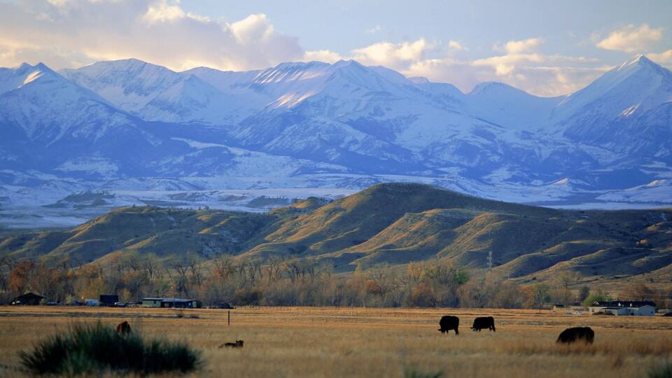 A mountainous landscape with snow-capped peaks, a field with grazing cattle, and a few buildings in the foreground.
