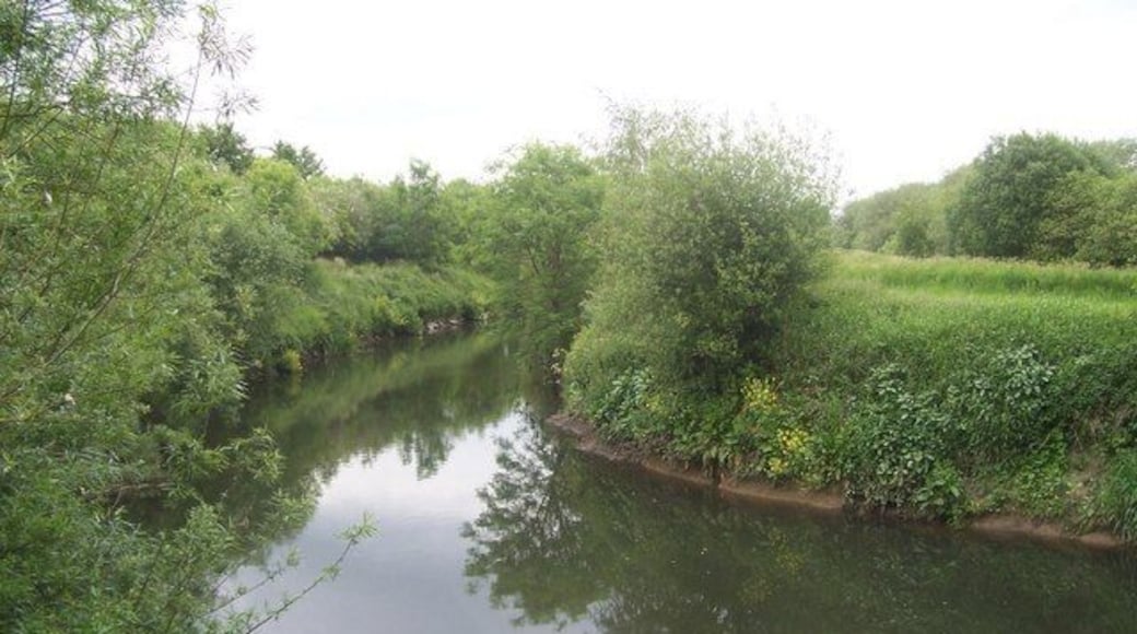 The River Rother The River Rother between Catcliffe Flash on the right bank and Catcliffe on the left bank. The River Rother has flooded the nearby houses on Orgreave Road on a number of occasions.