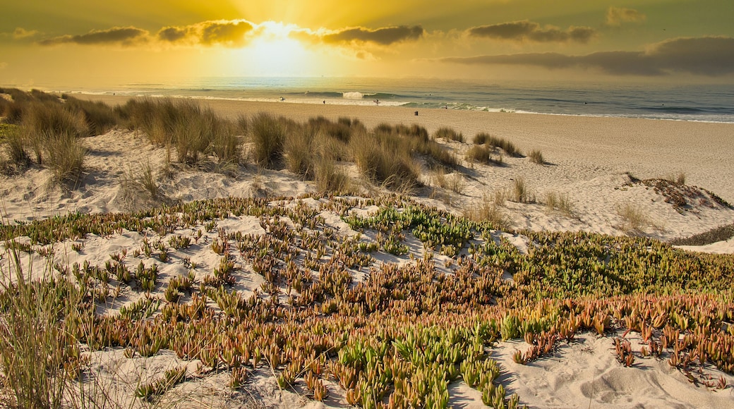 Channel Islands Beach