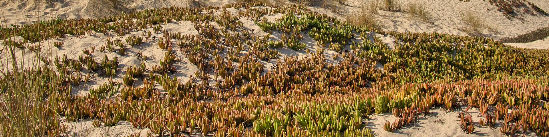 A sunny fall day at Oxnard Shores in California