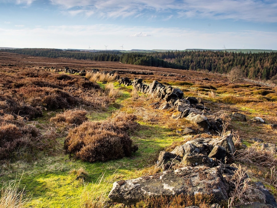 View from the top.
Follow the circular walk around langsett reservoir to be treat to some stunning views from the top of the valley
#langsett
#landscspe
#bvsquad
#goldenhour