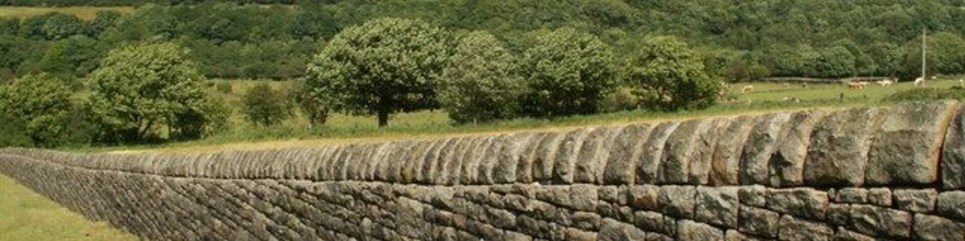Footpath along boundary wall From Midhope Reservoir to Midhope Hall Lane.