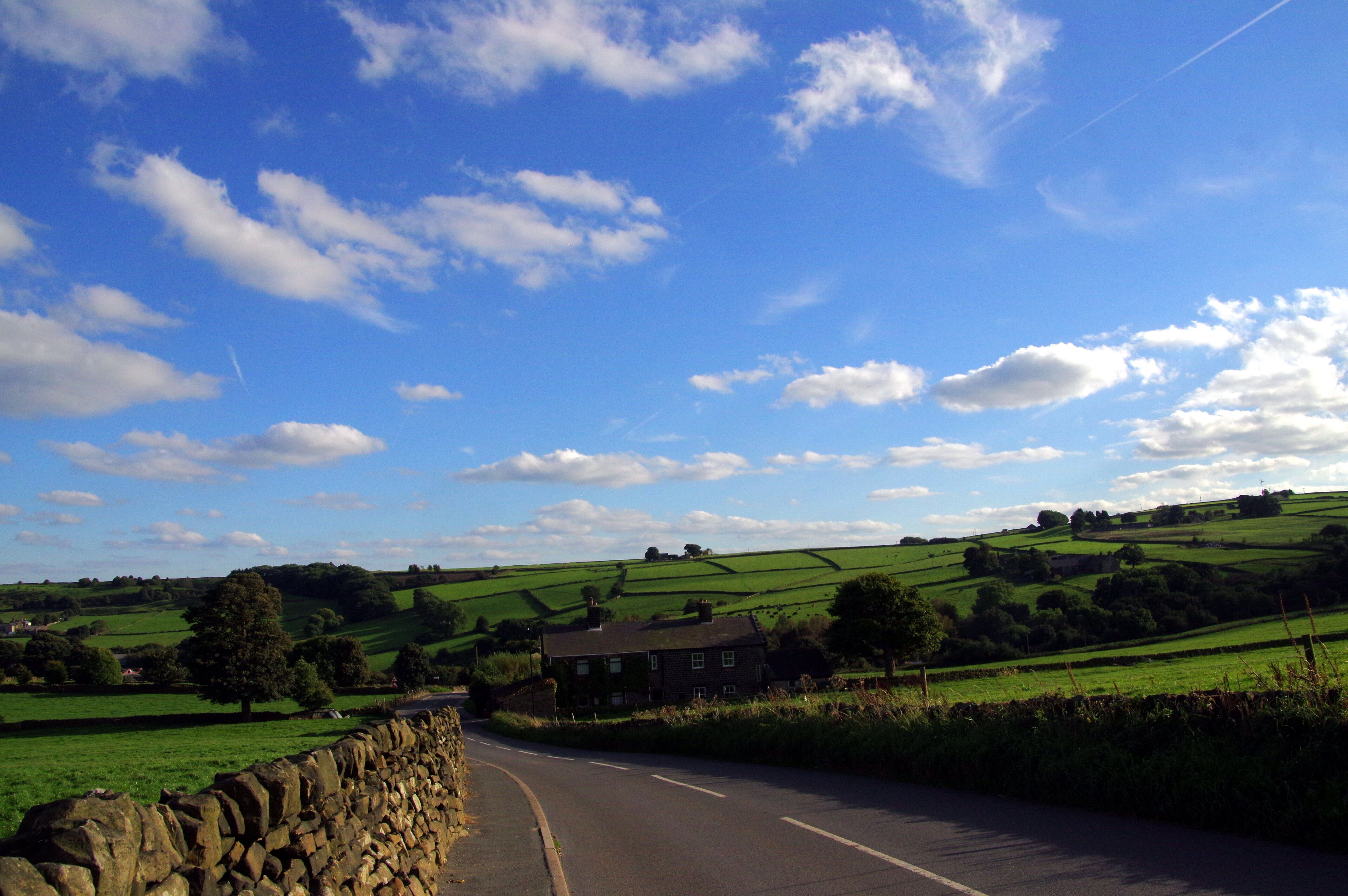 22.9.16 Sheffield Elephants