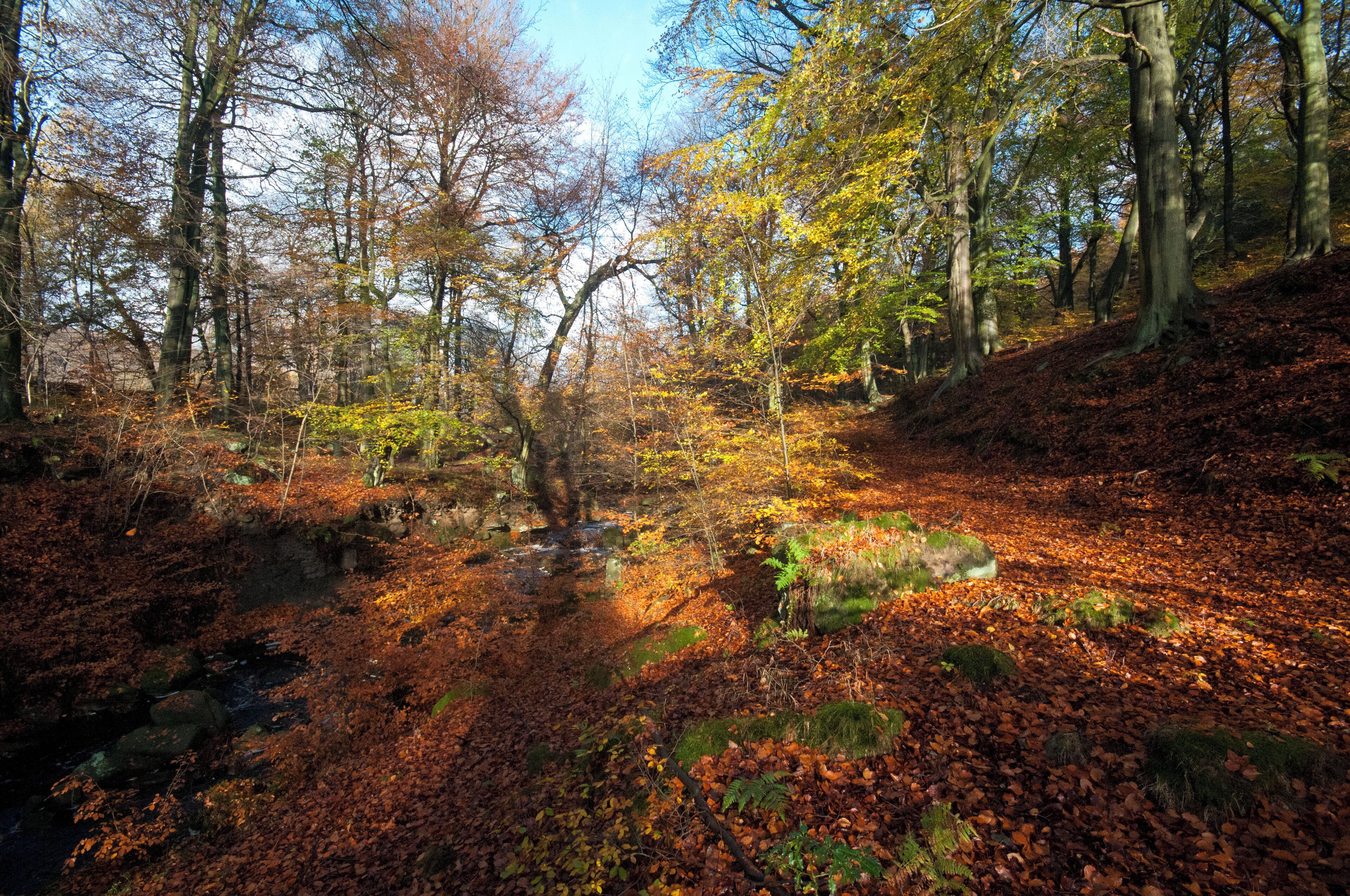 British Isles rural and coastal Ewden Valley, Derbyshire