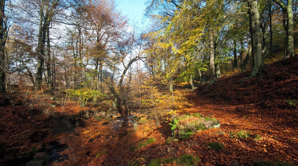 British Isles rural and coastal Ewden Valley, Derbyshire