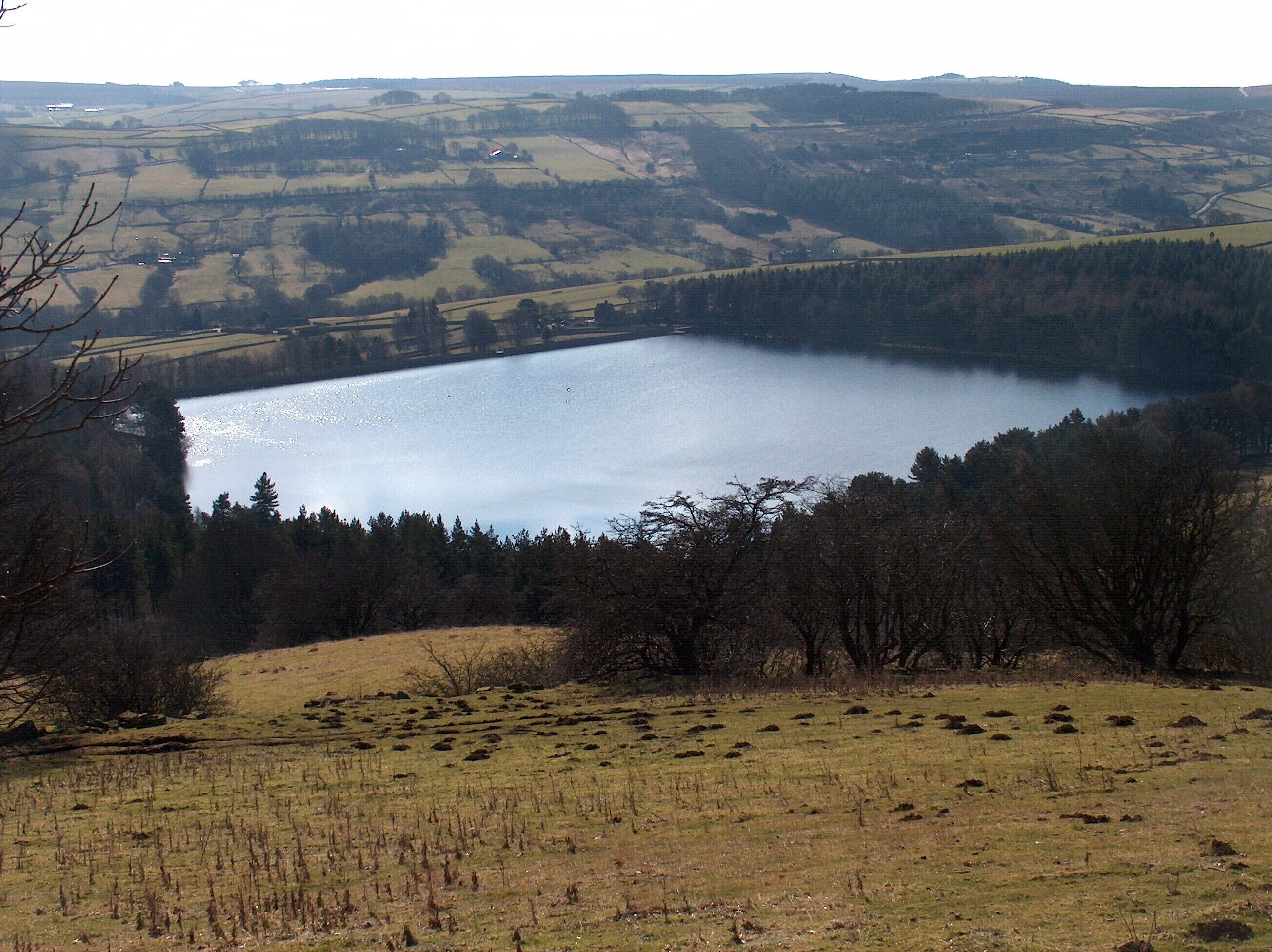 A lake surrounded by fields and trees.