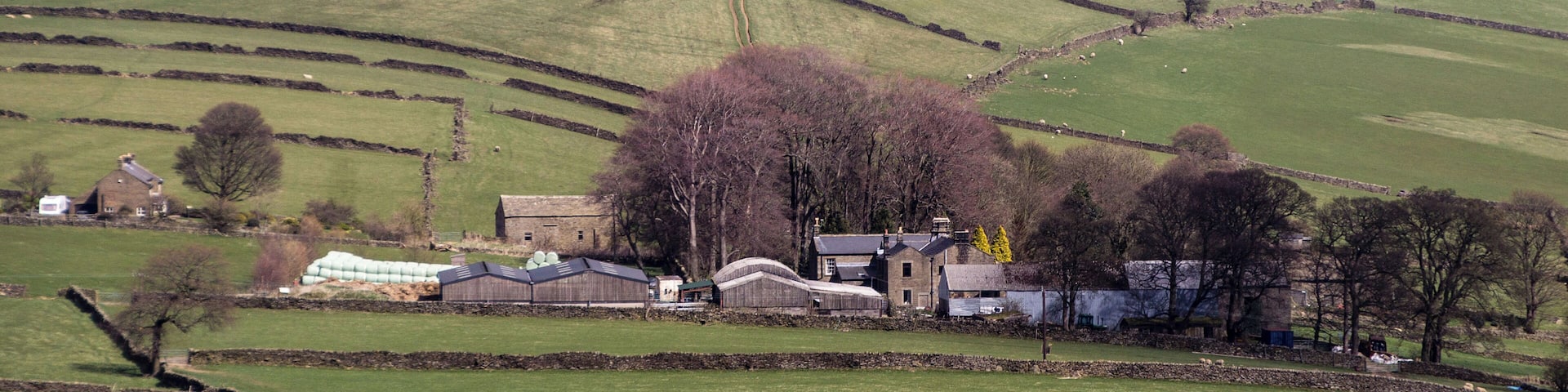 A view of Ughill Hall and the surrounding farm. The hall is the stone building to the left of the two yellow trees.