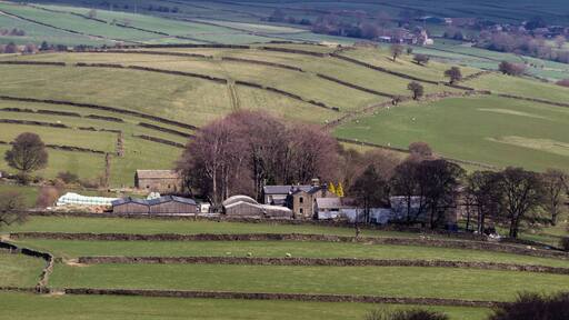 A view of Ughill Hall and the surrounding farm. The hall is the stone building to the left of the two yellow trees.