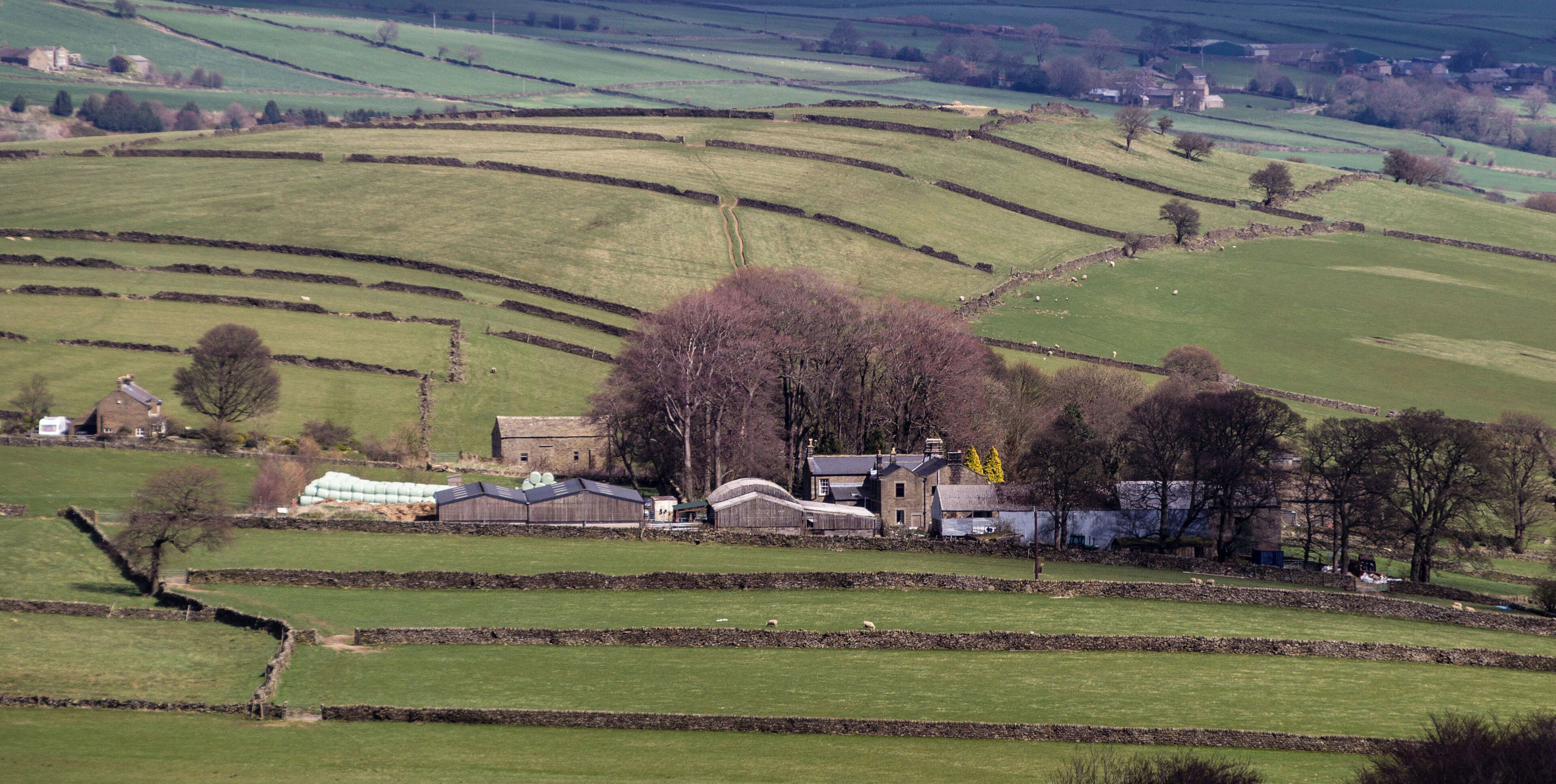 Rolling green fields, stone walls, and a cluster of farm buildings.