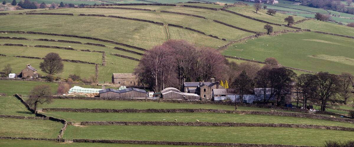 Rolling green fields, stone walls, and a cluster of farm buildings.