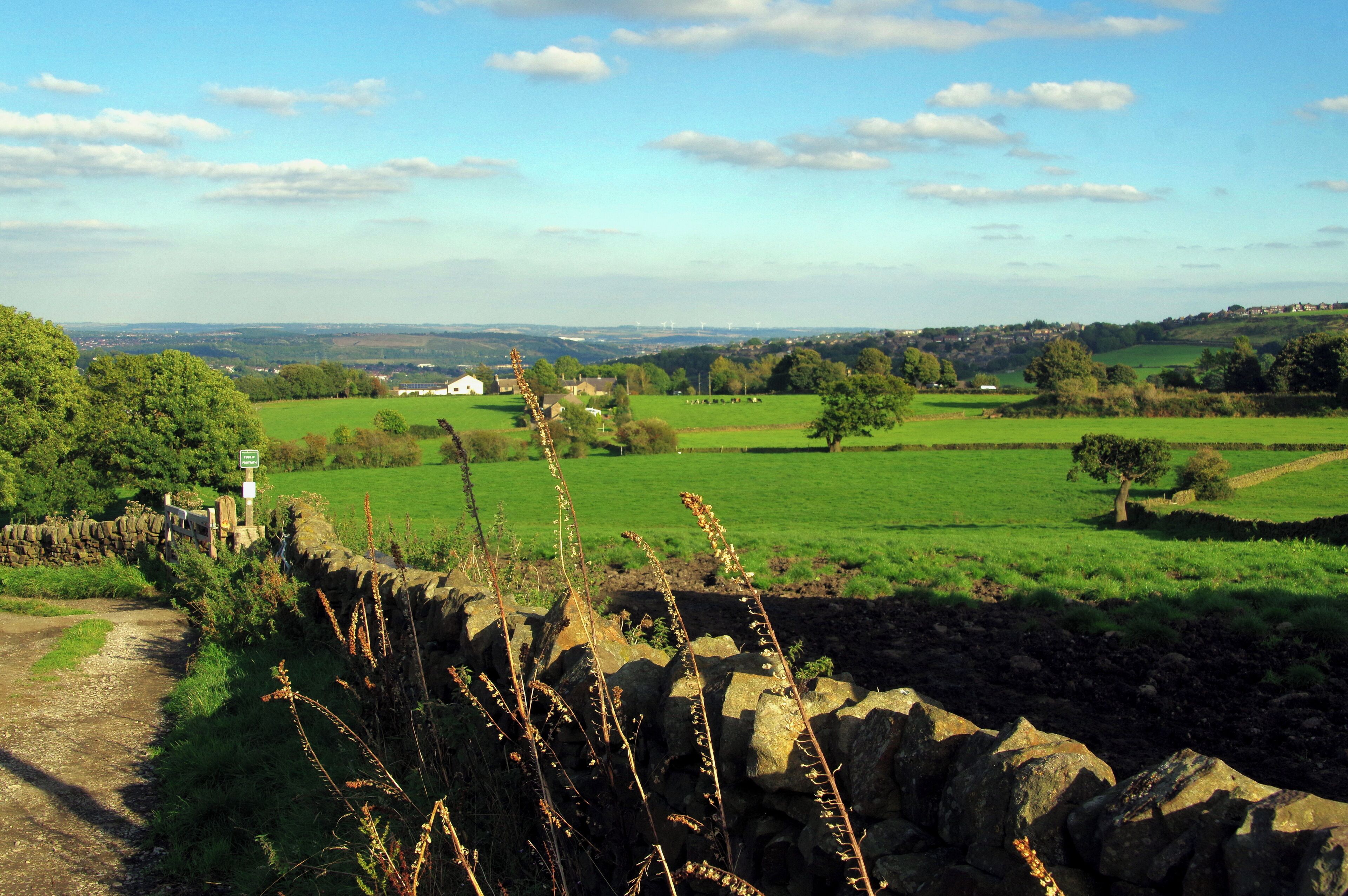 22.9.16 Sheffield Elephants