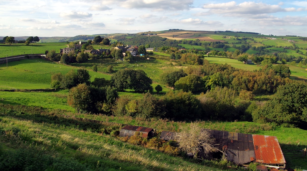 22.9.16 Sheffield Elephants