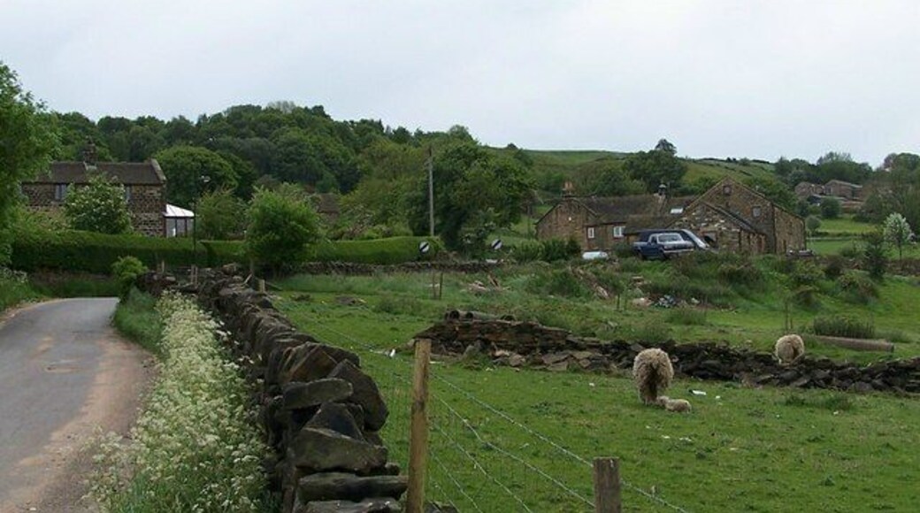 Burton Lane, Oughtibridge Stiddy Cottage on the left ... Birtins House and Birtins Farm on the right ... on Burton Lane. Note the spellings of Birtin and Burton ... both correct but probably one was a misspelling at some stage.