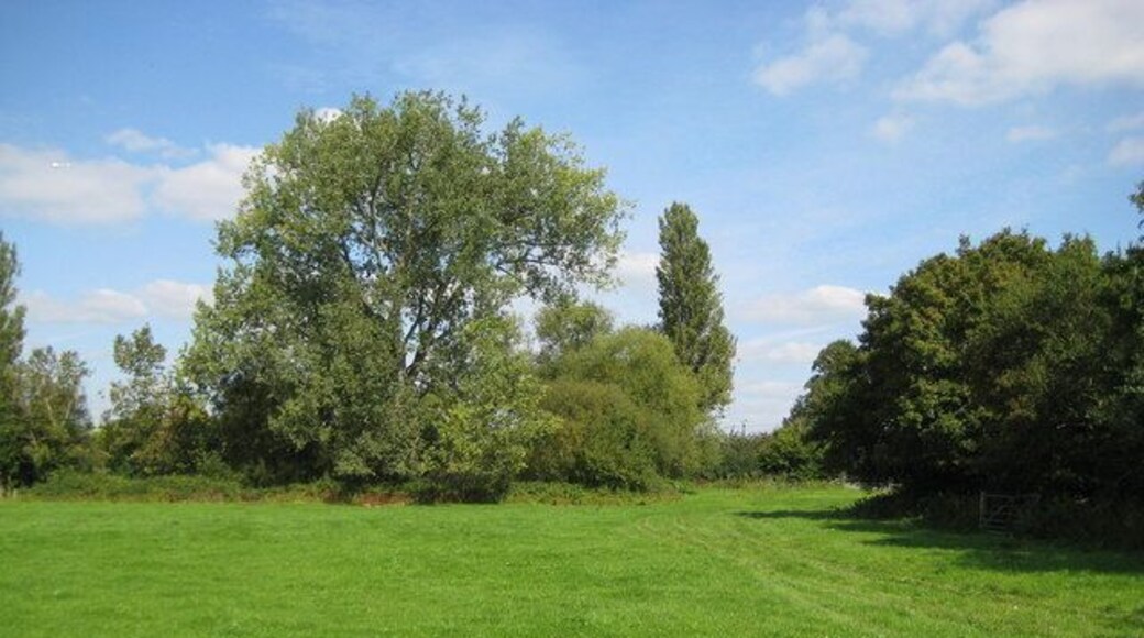 Holyport: Cresswells Farm Taken from the footpath to Cresswells Farm, this is flat pastureland, broken by large thick hedges with trees.