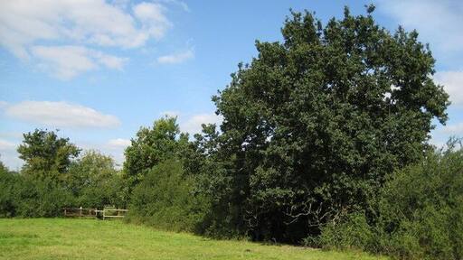 Holyport: Footpath to Cresswells Farm The footpath just clips across the north-eastern corner of this grid square, before going through the fence and gate in the corner in SU8878.