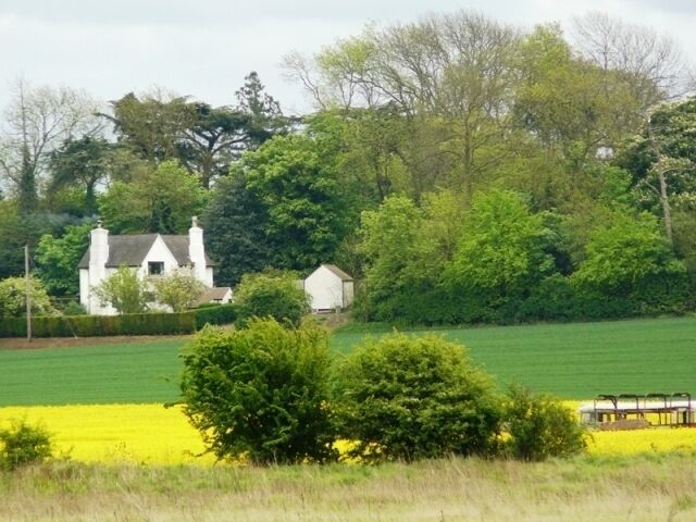 A rural landscape with a white house, green fields, and a yellow crop.