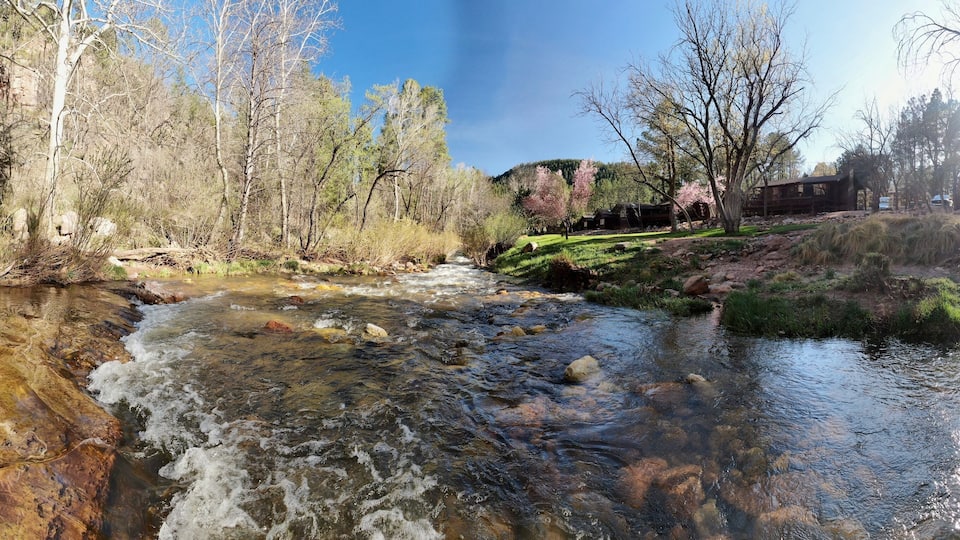 A clear stream with rocks, surrounded by trees and a wooden structure.