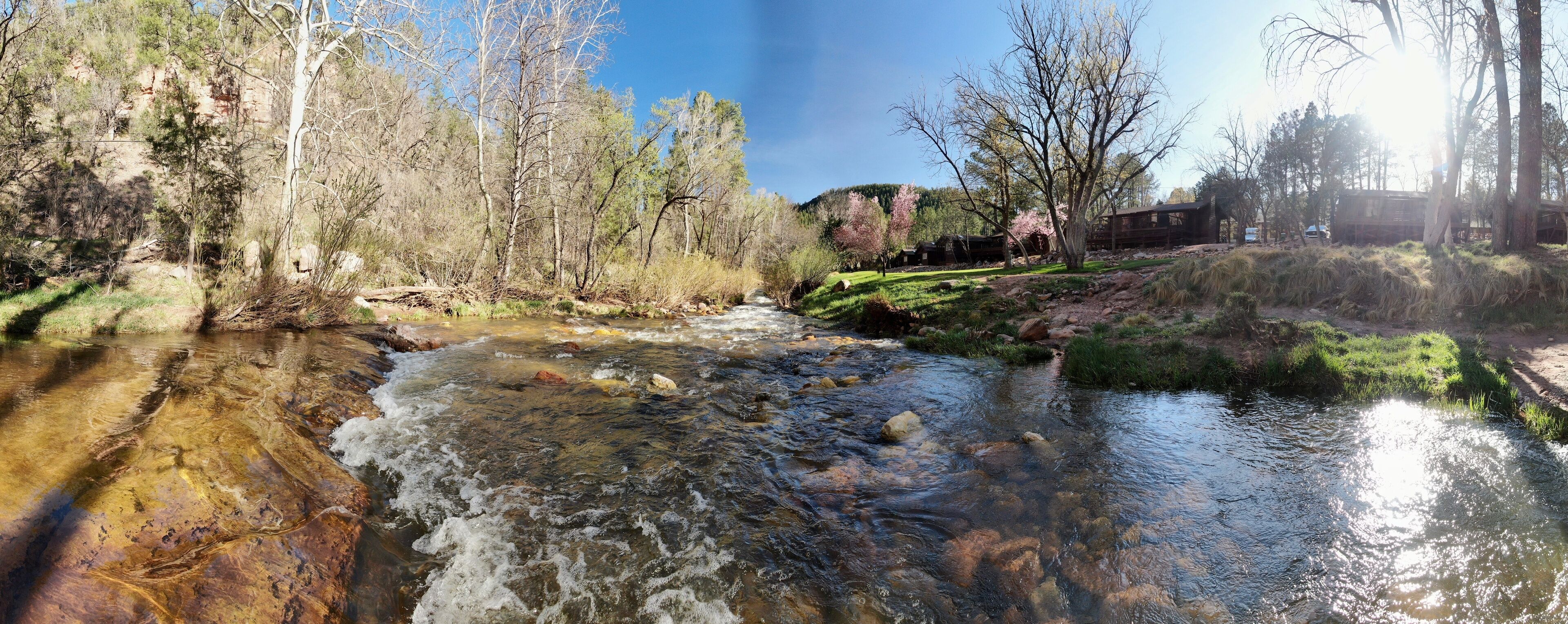 A clear stream with rocks, surrounded by trees and a wooden structure.