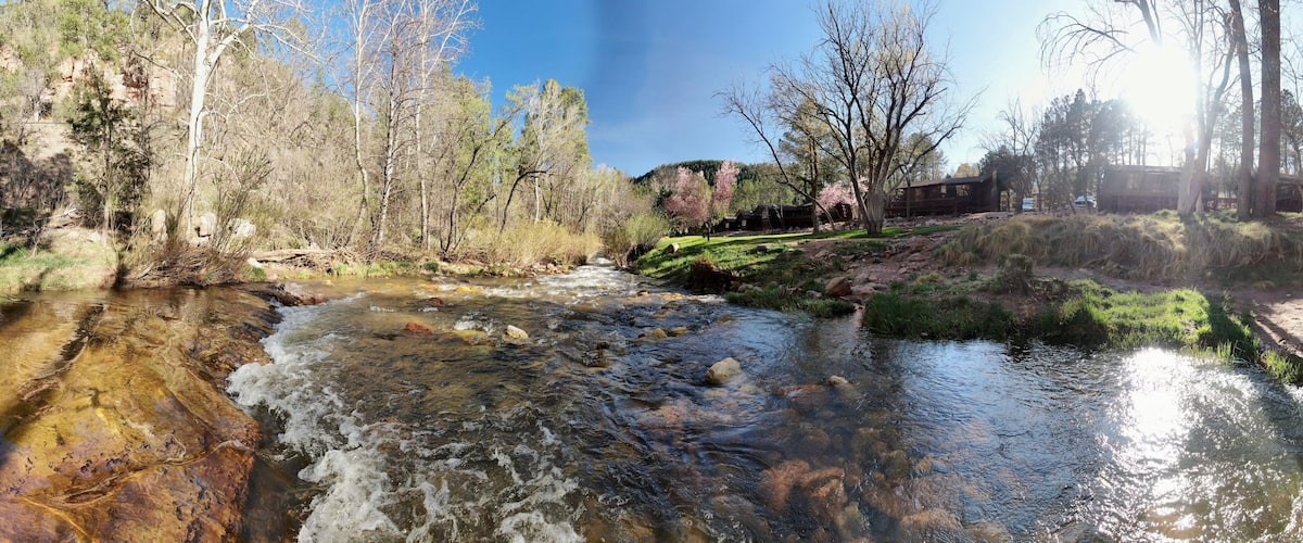 A clear stream with rocks, surrounded by trees and a wooden structure.