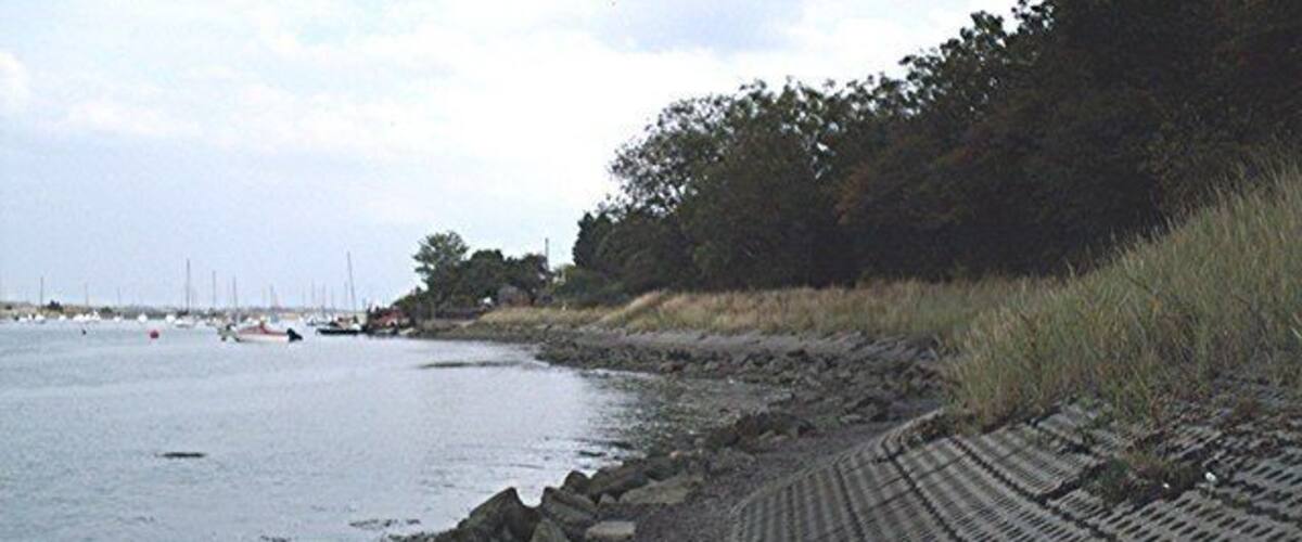 A rocky shoreline with a patterned walkway leading to the water, boats in the distance, and dense trees along the shore.