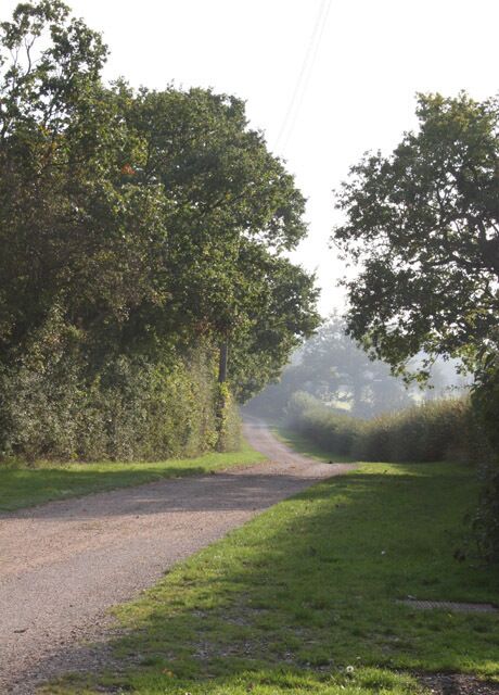 Long Lane, Hullbridge This was taken outside Cracknell's Farm looking South. This road runs from Lower Road to Pooles Lane, Hullbridge.