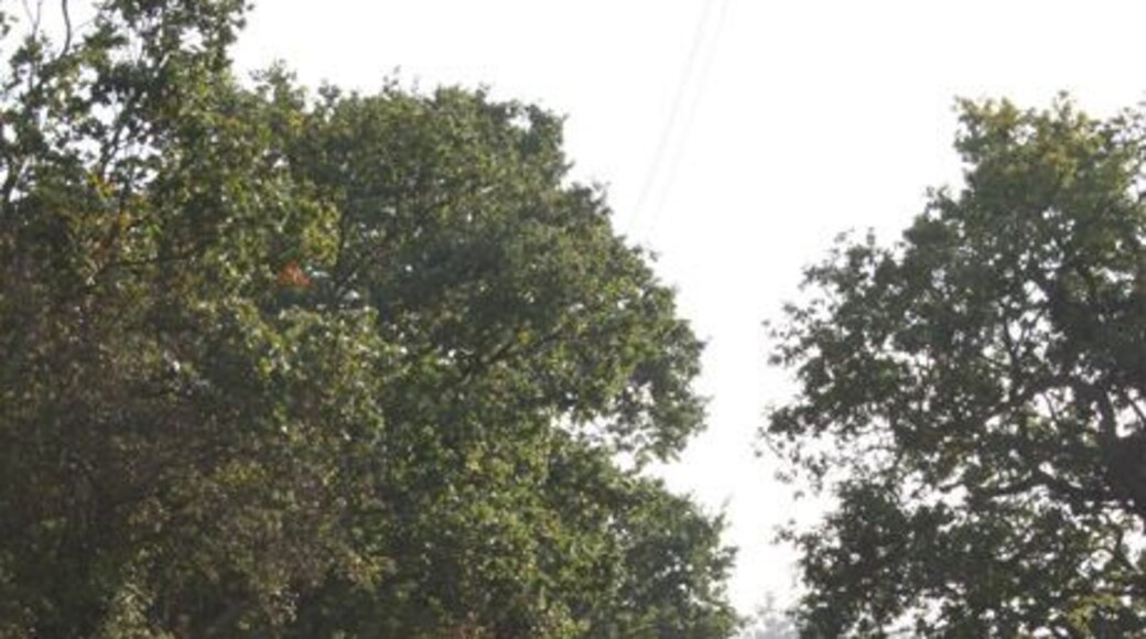Long Lane, Hullbridge This was taken outside Cracknell's Farm looking South. This road runs from Lower Road to Pooles Lane, Hullbridge.