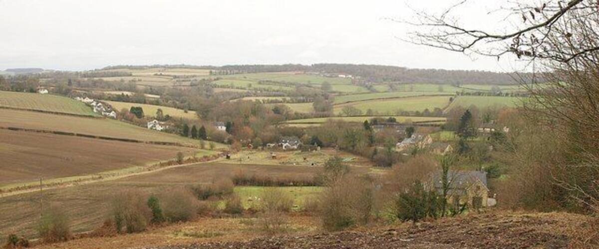 Valley at Joyford. From the track mentioned in 1723742, a view down the valley containing Joyford Mill, and which continues (with the stream underground for some of the way) to meet the Wye mear Lower Lydbrook.