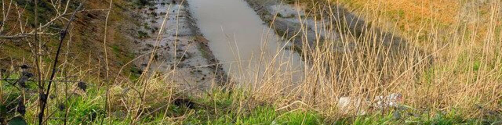 Counter Drain, Peterborough From the bridge over the dyke.