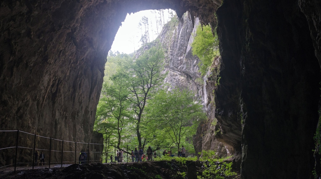 2153-Skocjan-Caves