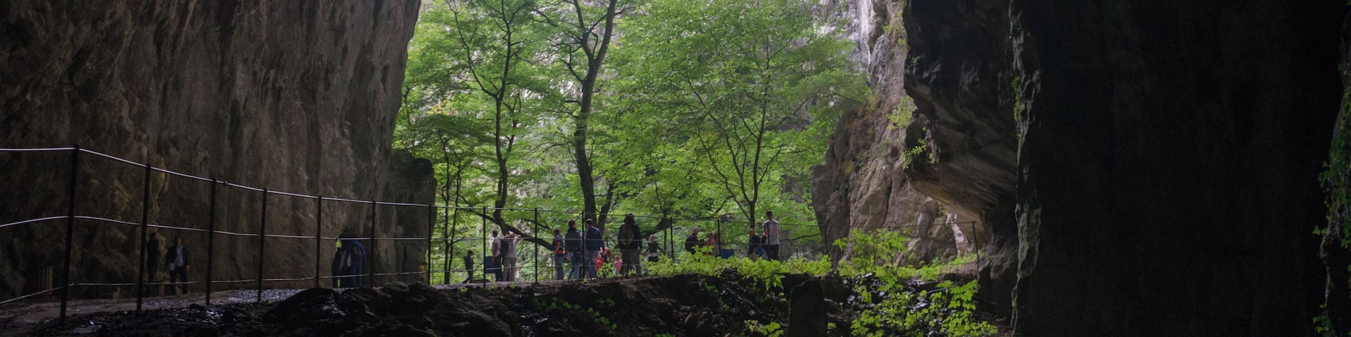 A cave entrance with a view of a forested cliff.