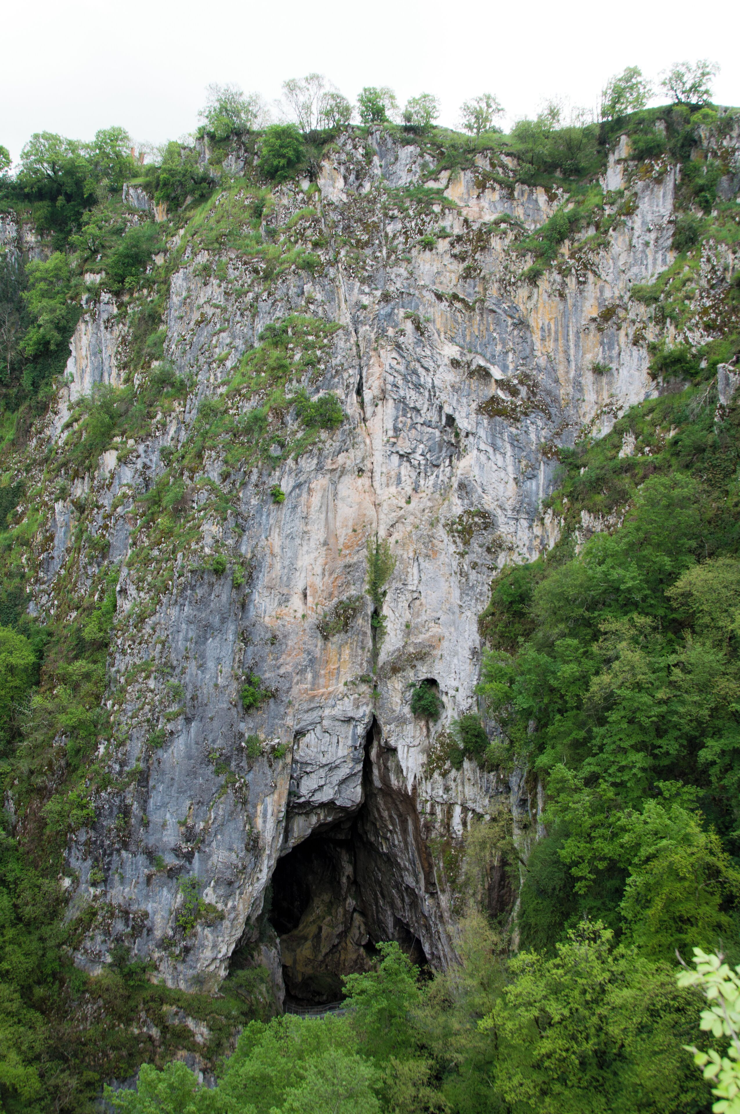 A large rock formation with a cave entrance surrounded by dense green foliage.